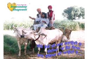 Punjabi Virsa MWDL (8)